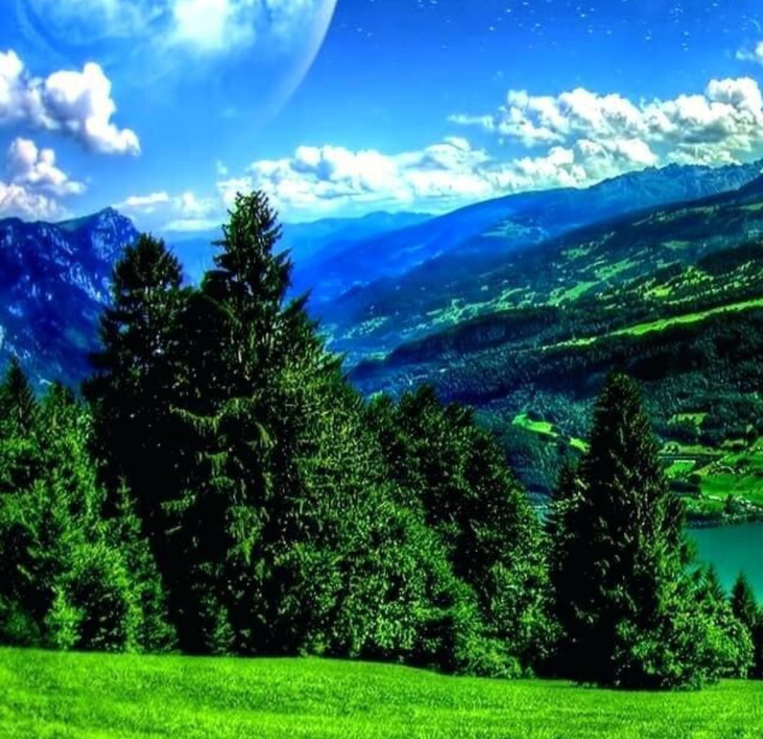 Белоснежною гурьбою... 